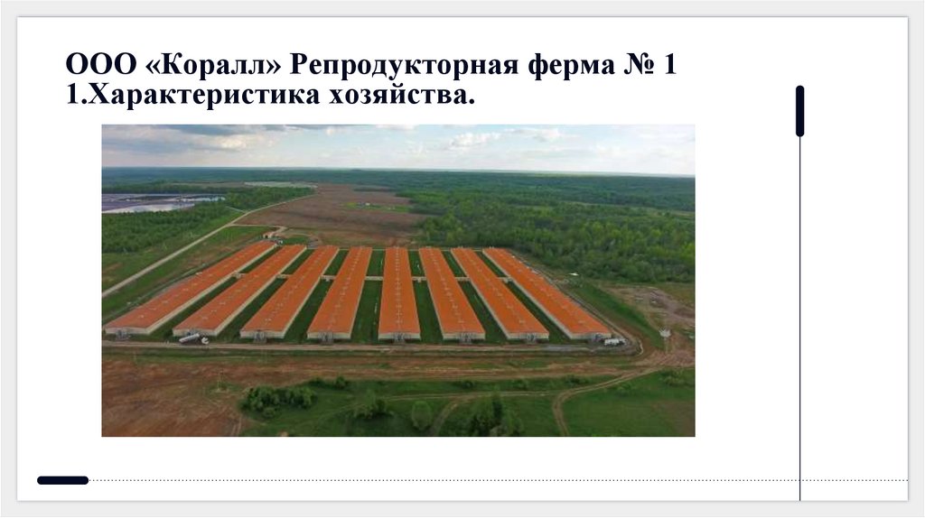 ООО «Коралл» Репродукторная ферма № 1 1.Характеристика хозяйства.