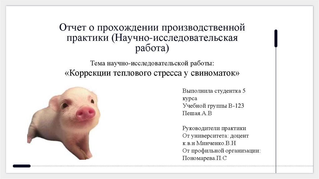 Отчет о прохождении производственной практики (Научно-исследовательская работа)