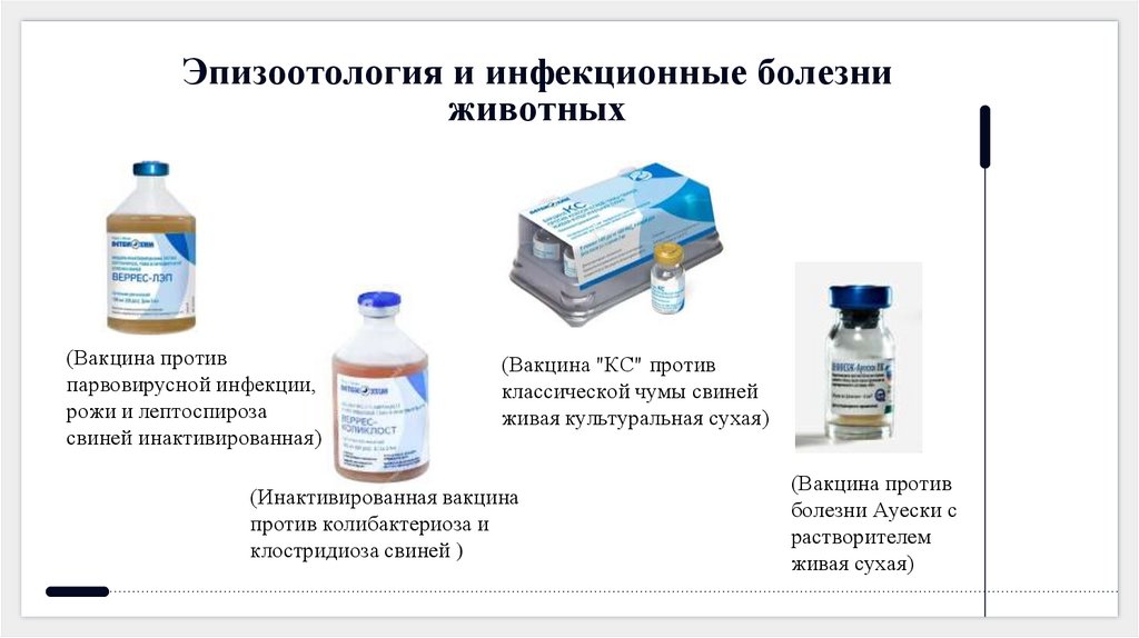 Эпизоотология и инфекционные болезни животных