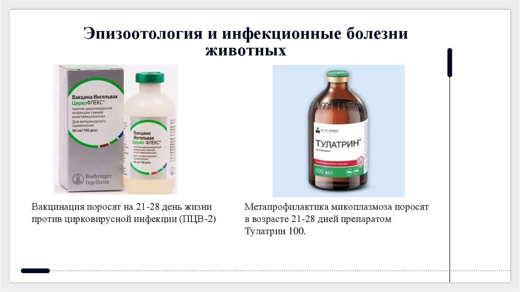 Эпизоотология и инфекционные болезни животных
