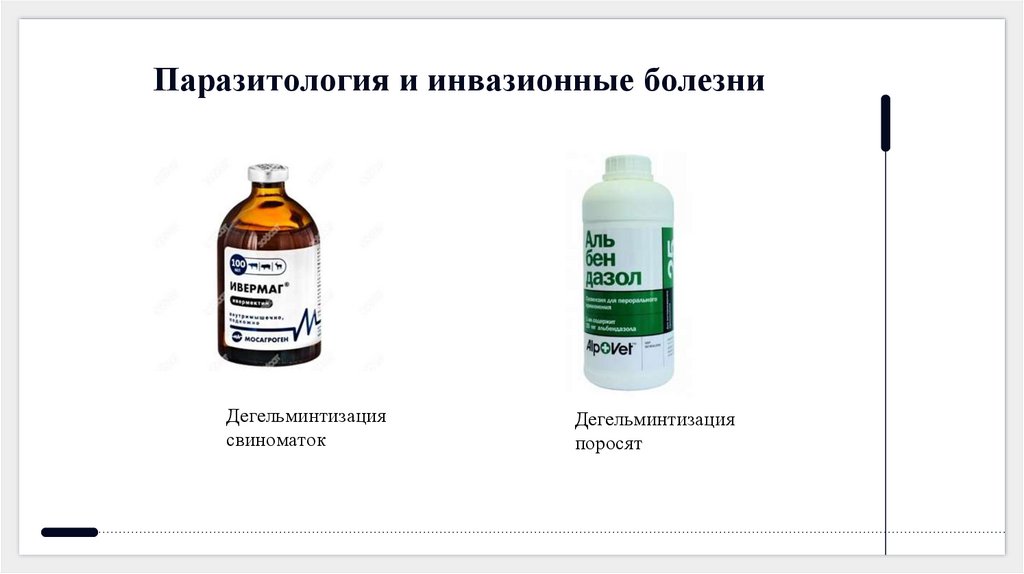 Паразитология и инвазионные болезни