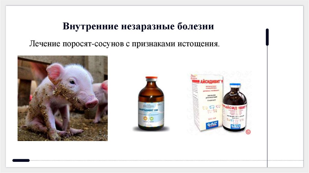 Внутренние незаразные болезни