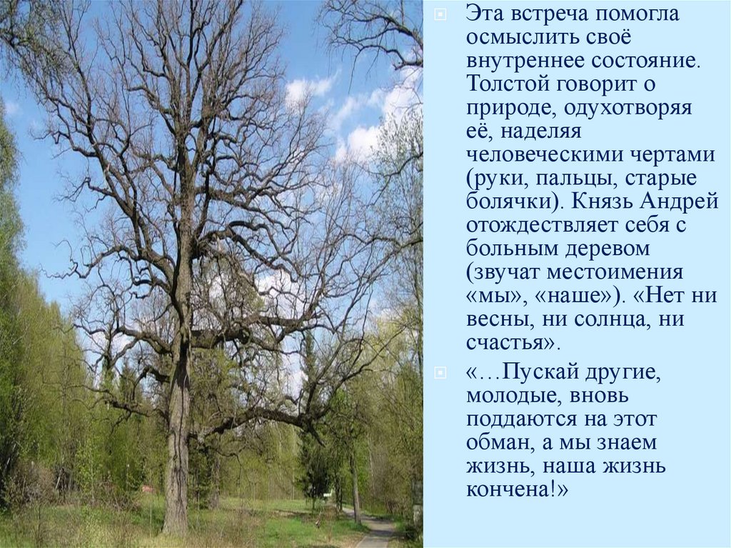Какое влияние оказала встреча князя Андрея со старым дубом на пути в Отрадное? (3 ч.1гл.)