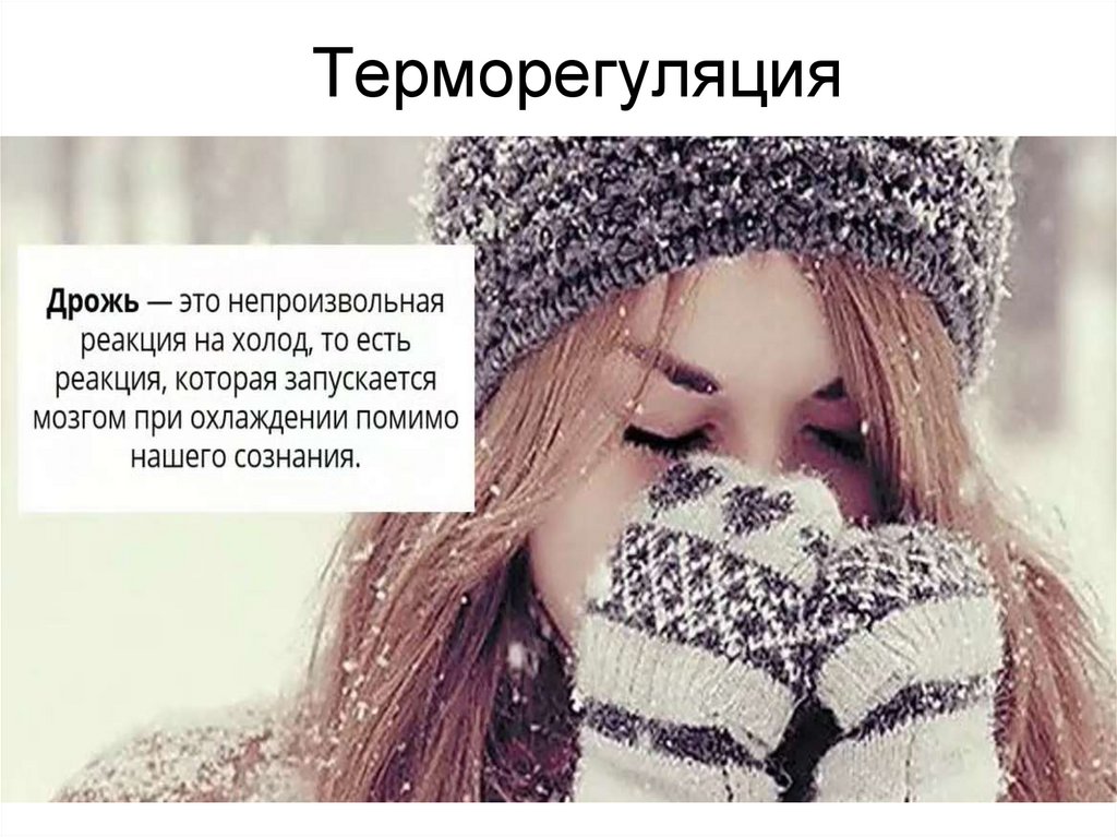 Терморегуляция