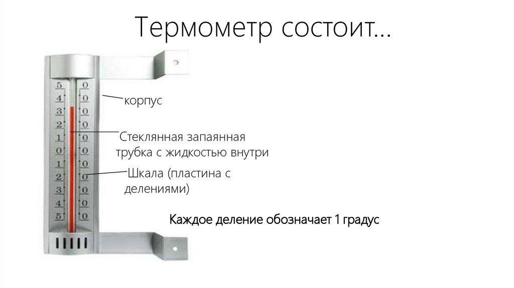 Термометр состоит…