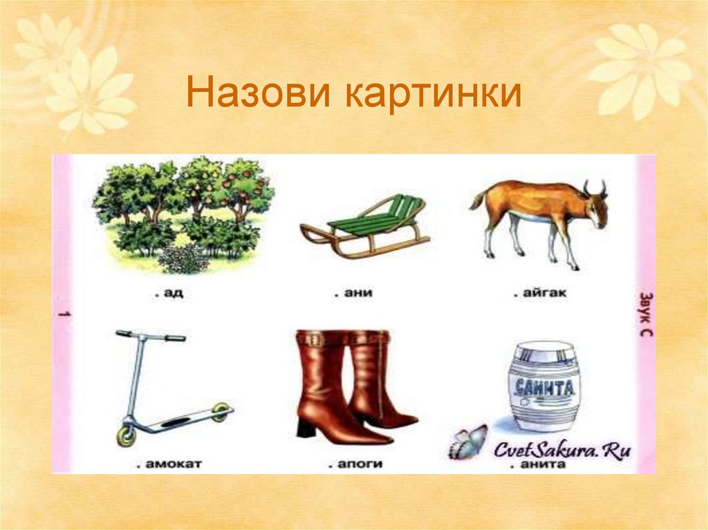 Назови картинки