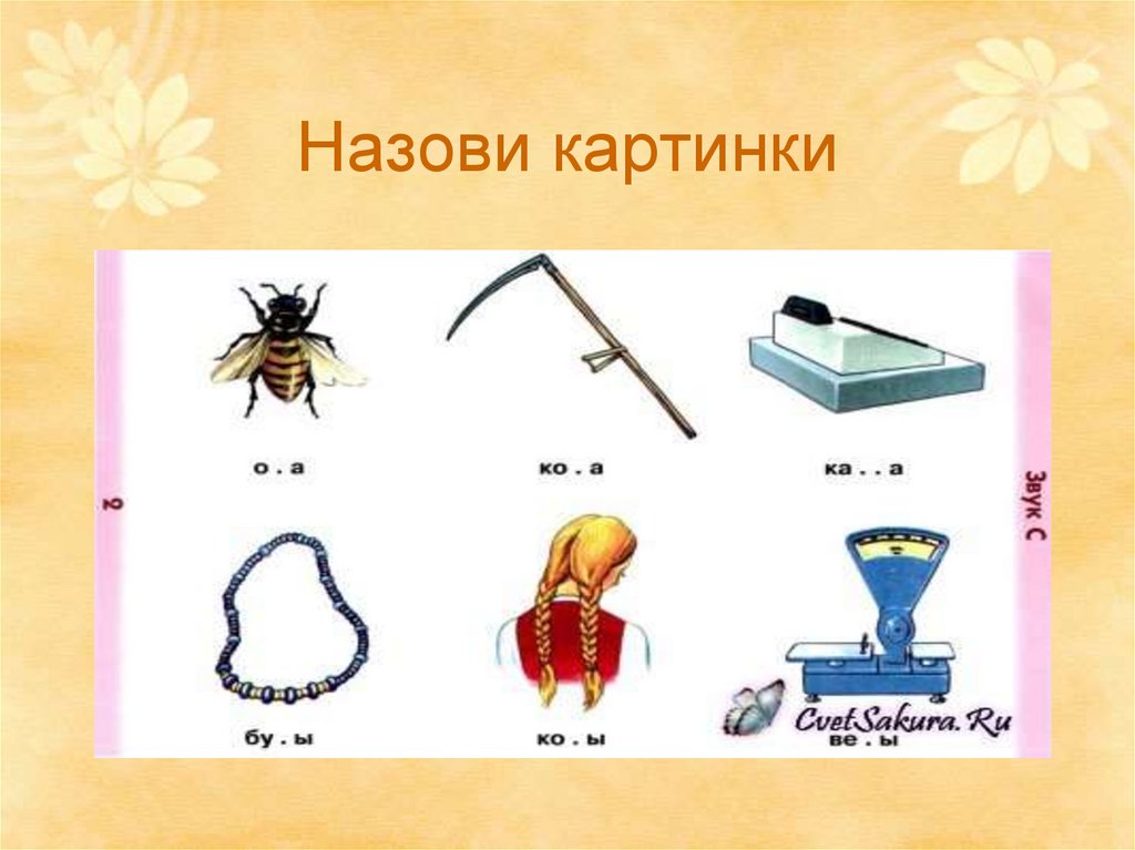 Назови картинки