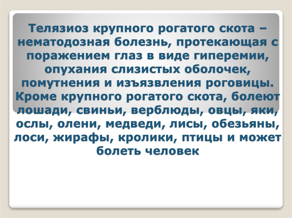Телязиоз крупного рогатого скота – нематодозная болезнь, протекающая с поражением глаз в виде гиперемии, опухания слизистых