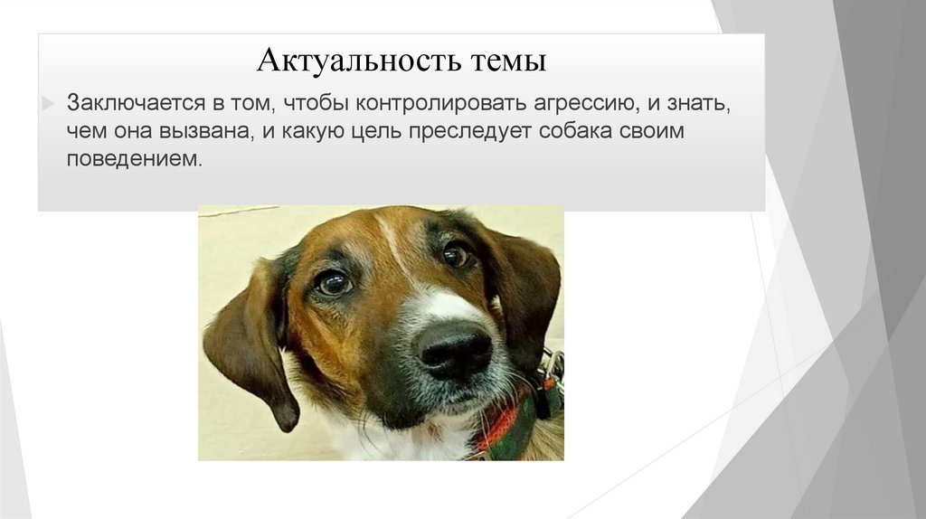 Актуальность темы