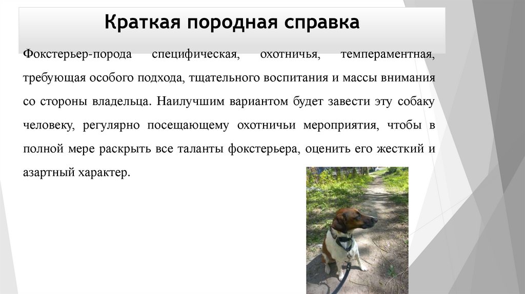 Краткая породная справка