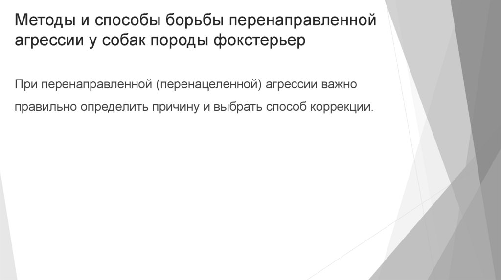 Методы и способы борьбы перенаправленной агрессии у собак породы фокстерьер