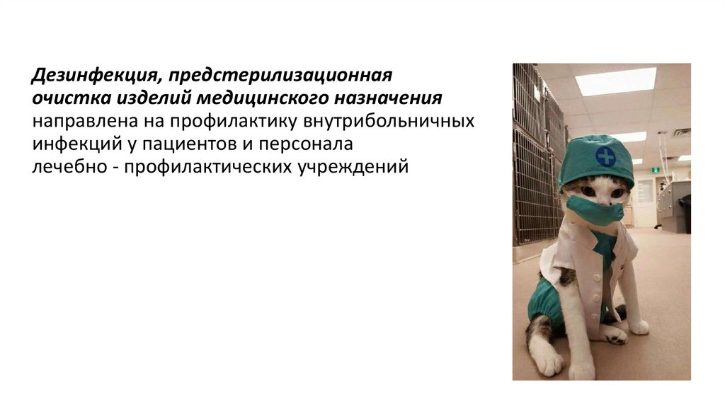 Дезинфекция, предстерилизационная очистка изделий медицинского назначения направлена на профилактику внутрибольничных инфекций