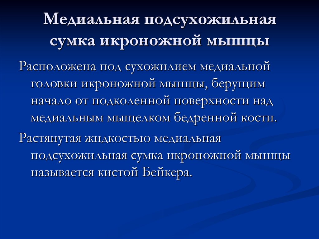 Медиальная подсухожильная сумка икроножной мышцы