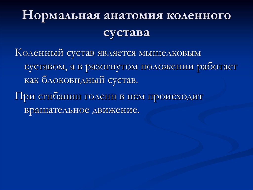 Нормальная анатомия коленного сустава