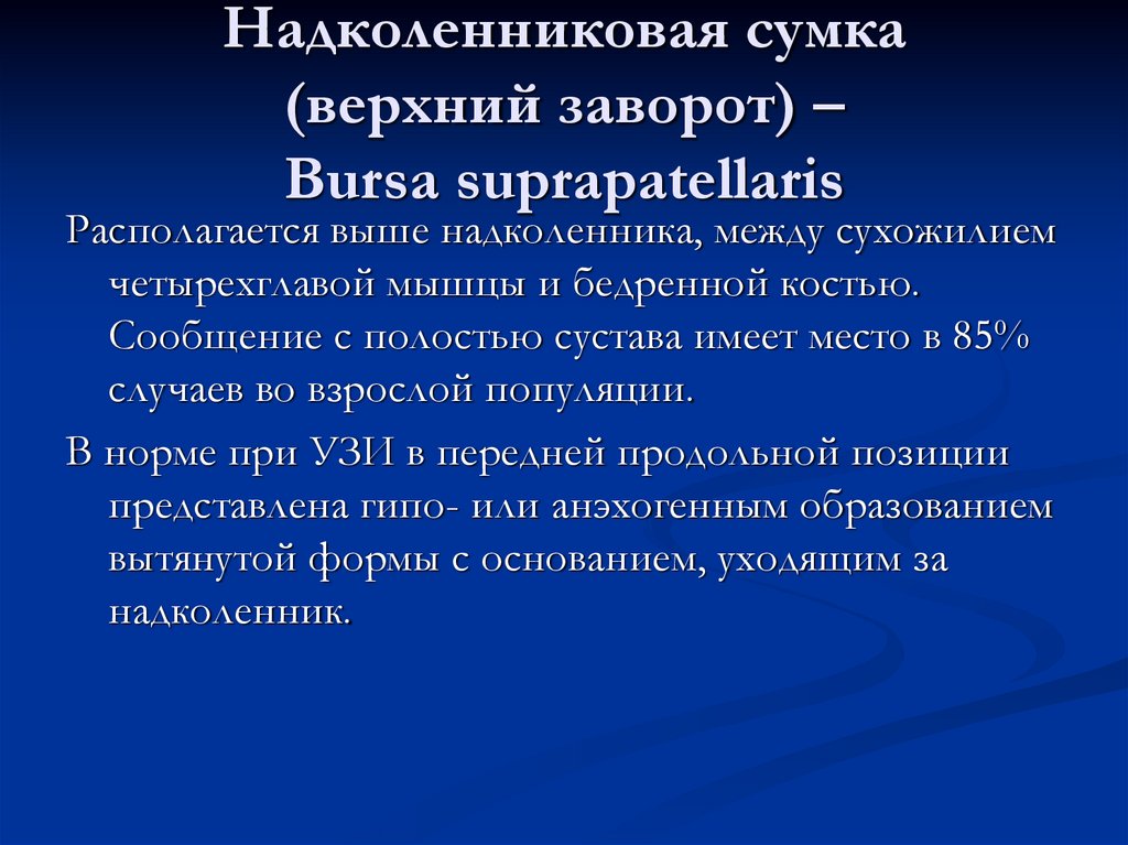 Надколенниковая сумка (верхний заворот) – Bursa suprapatellaris