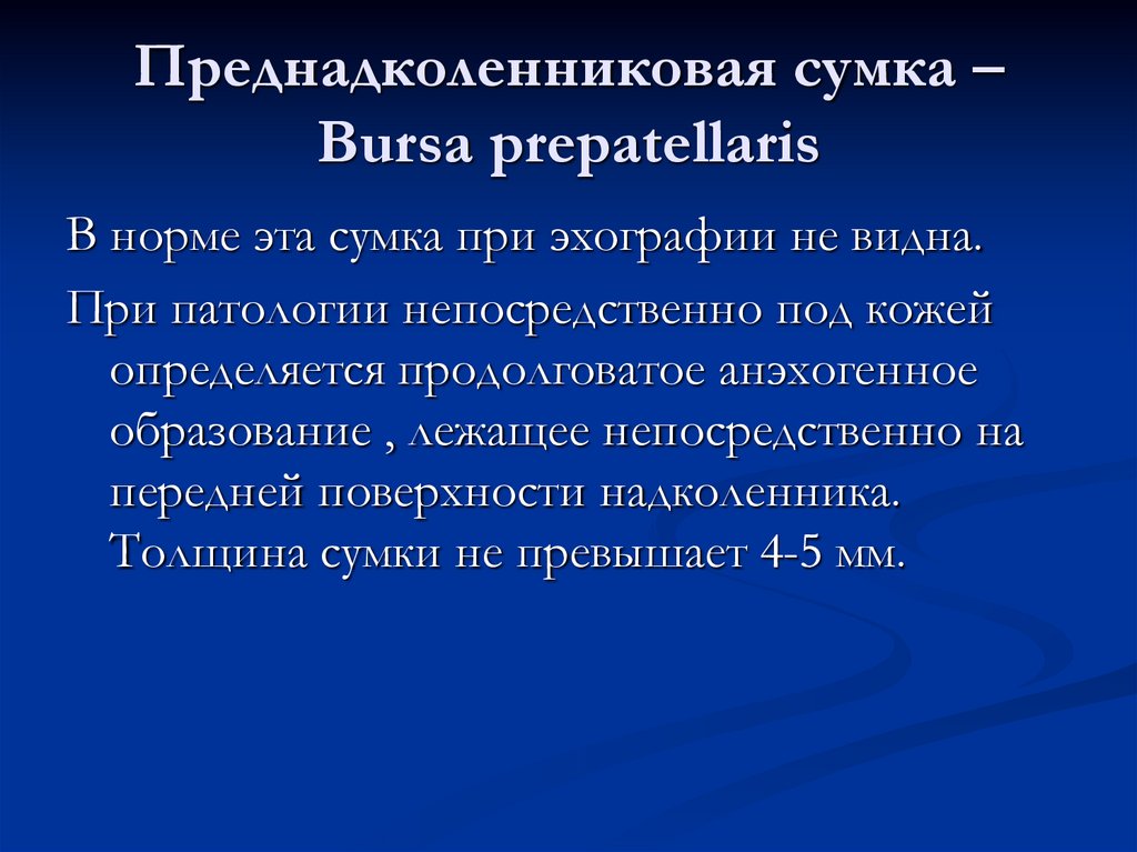 Преднадколенниковая сумка – Bursa prepatellaris