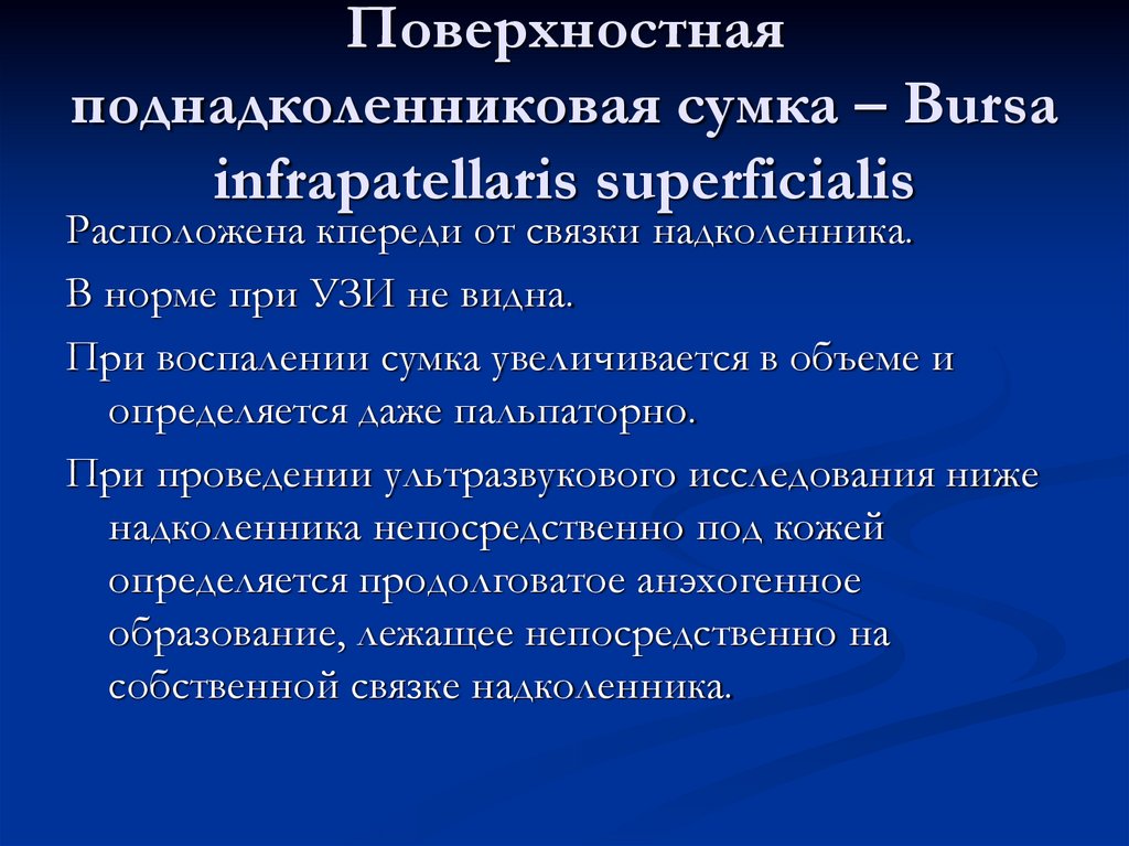 Поверхностная поднадколенниковая сумка – Bursa infraраtellaris superficialis
