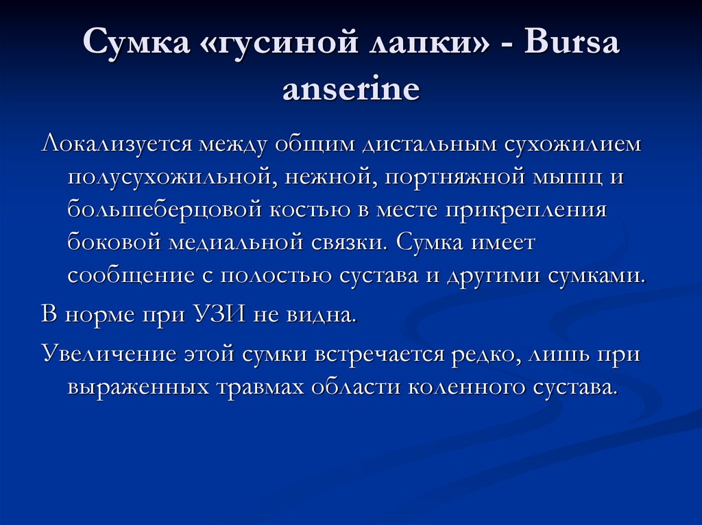 Сумка «гусиной лапки» - Bursa anserine