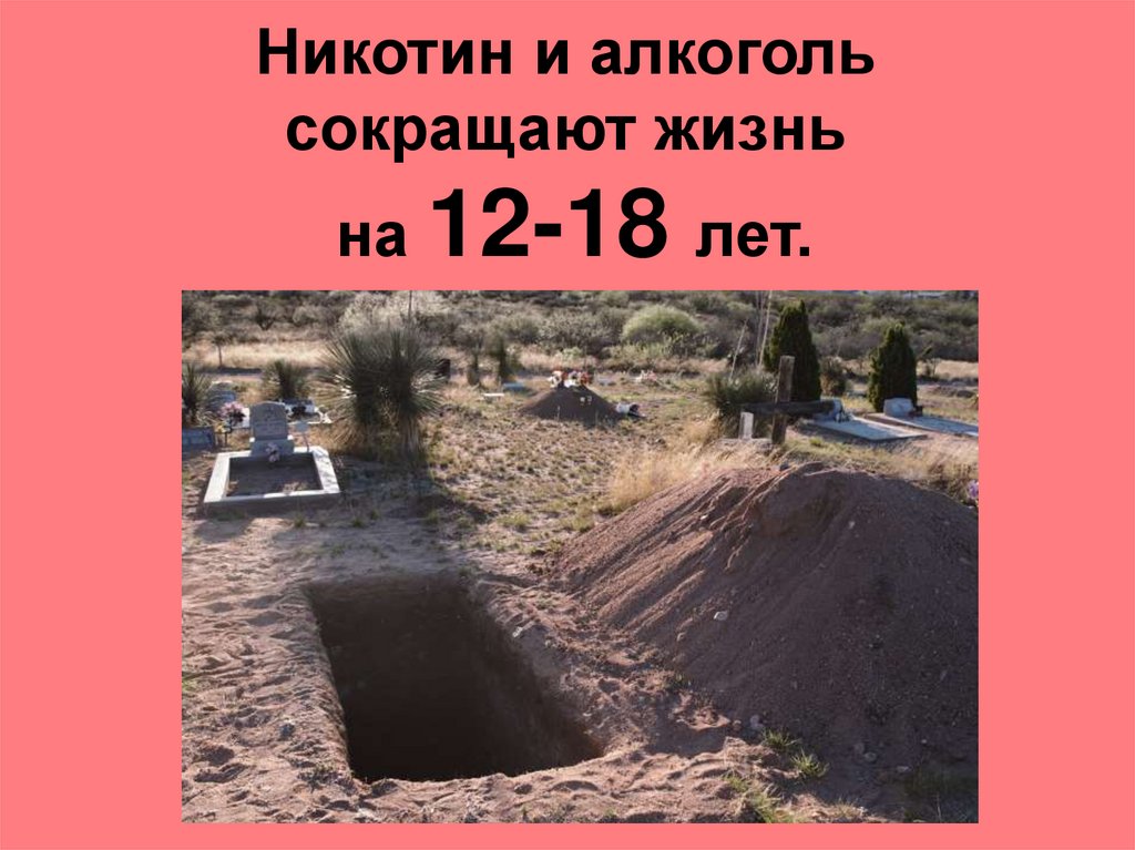 Никотин и алкоголь сокращают жизнь на 12-18 лет.