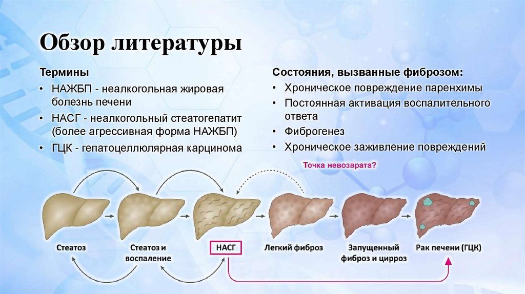 Обзор литературы