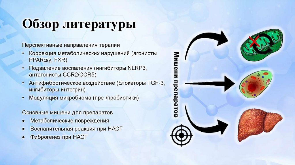 Обзор литературы