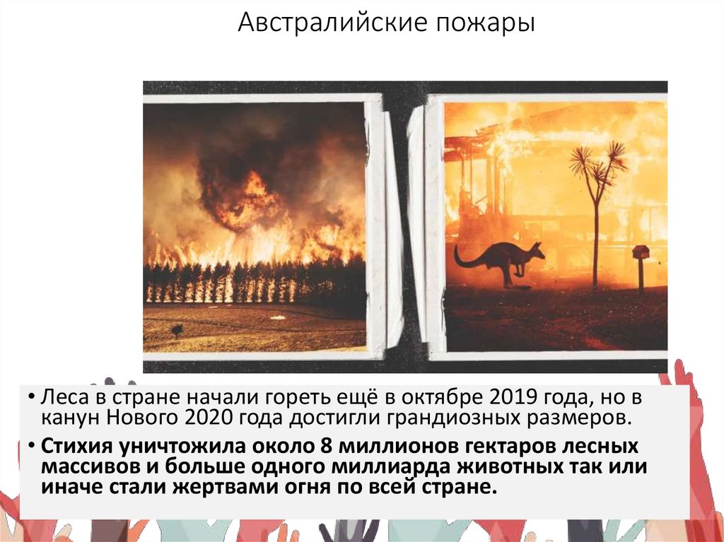 Австралийские пожары