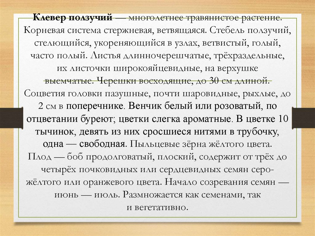 Клевер ползучий — многолетнее травянистое растение. Корневая система стержневая, ветвящаяся. Стебель ползучий, стелющийся,