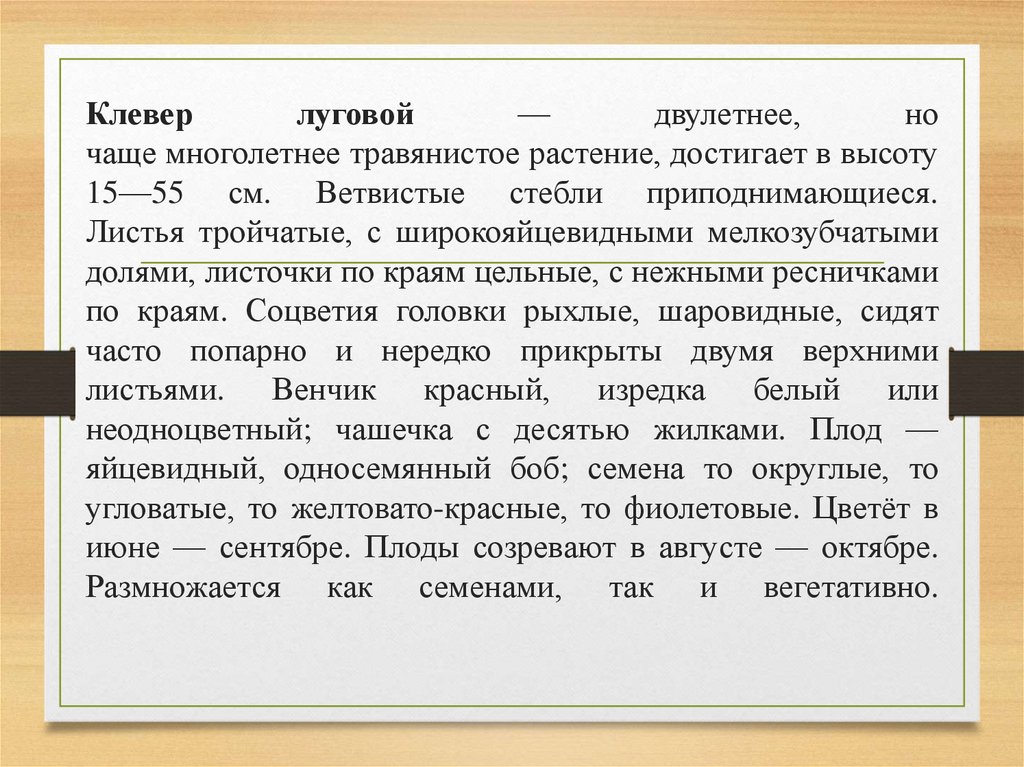 Клевер луговой — двулетнее, но чаще многолетнее травянистое растение, достигает в высоту 15—55 см.