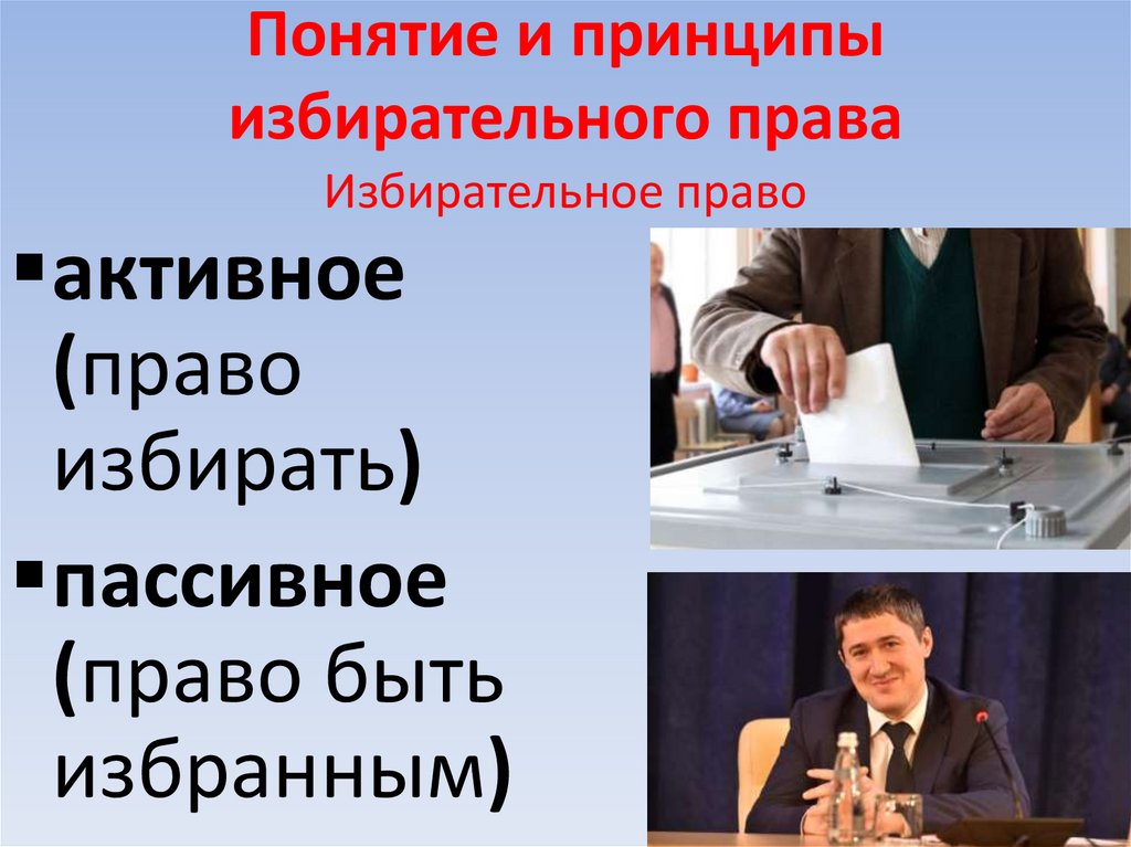 Понятие и принципы избирательного права