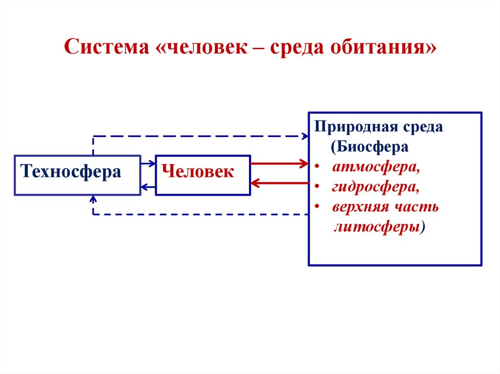 Система «человек – среда обитания»