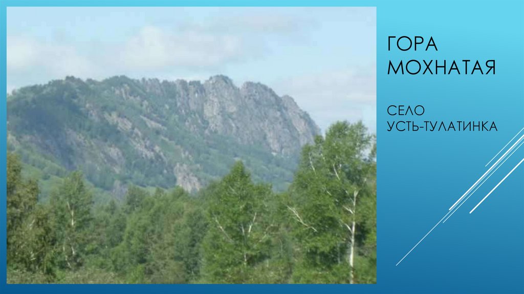 Гора мохнатаясело усть-тулатинка