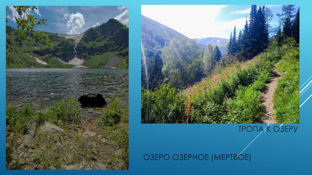 Тропа к озеруозеро озерное (мертвое)