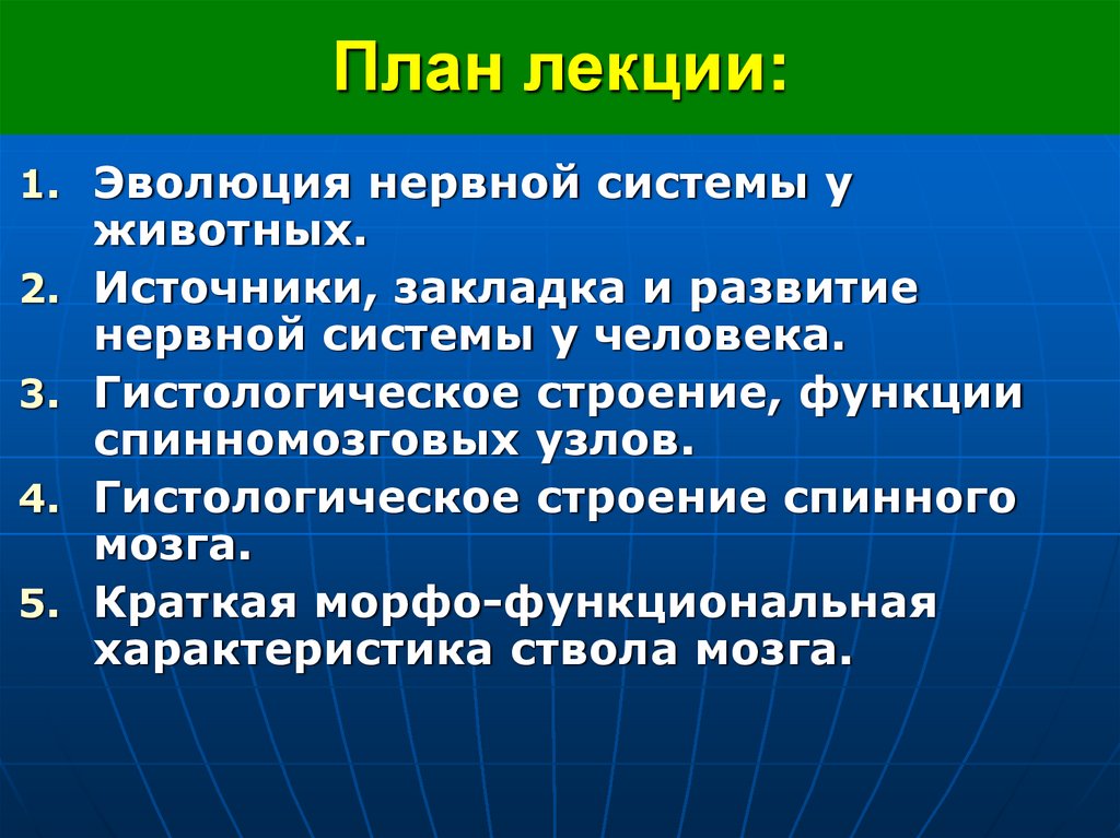 План лекции: