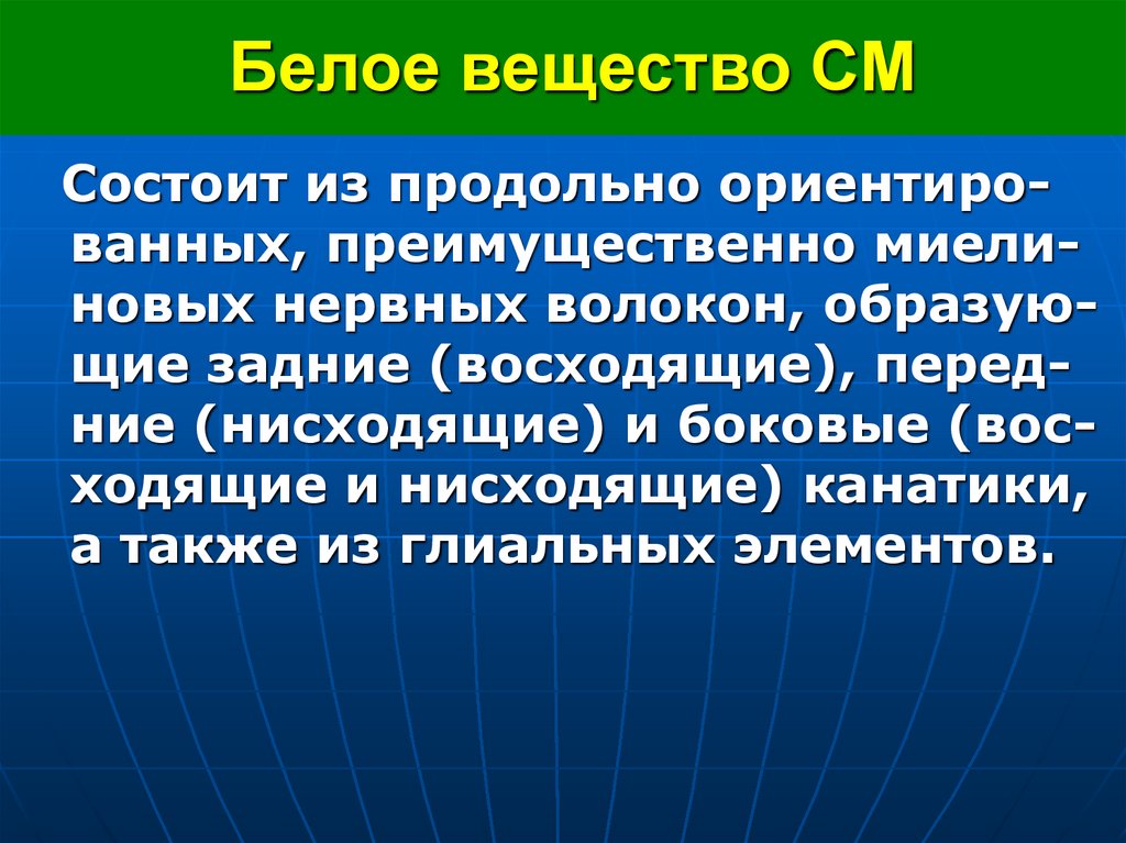 Белое вещество СМ