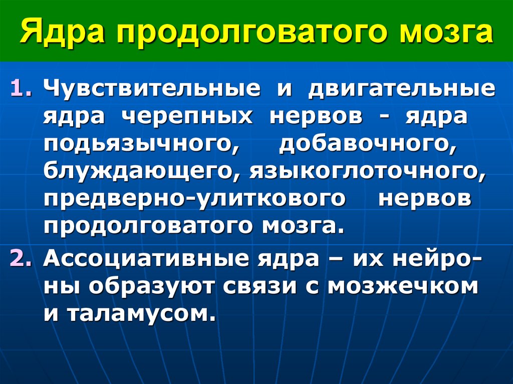 Ядра продолговатого мозга