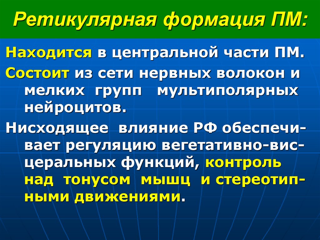 Ретикулярная формация ПМ: