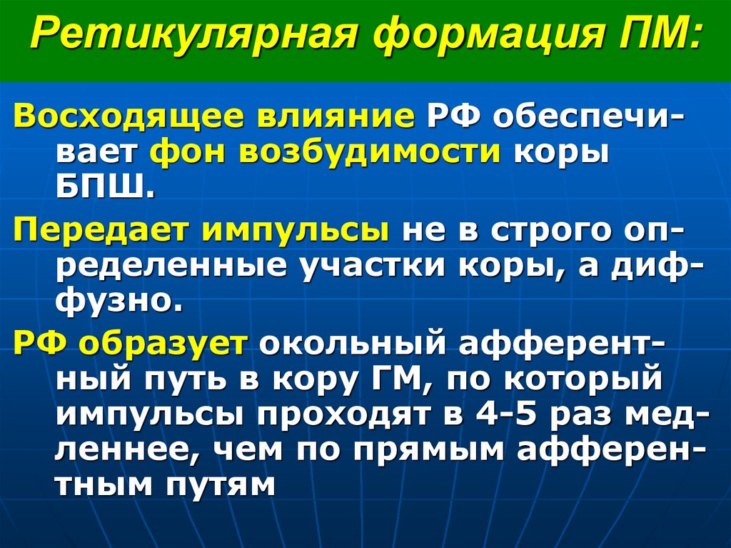 Ретикулярная формация ПМ: