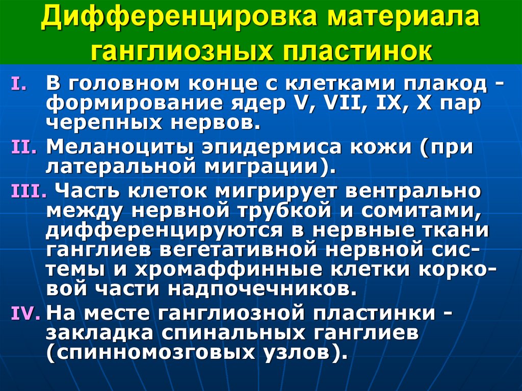 Дифференцировка материала ганглиозных пластинок