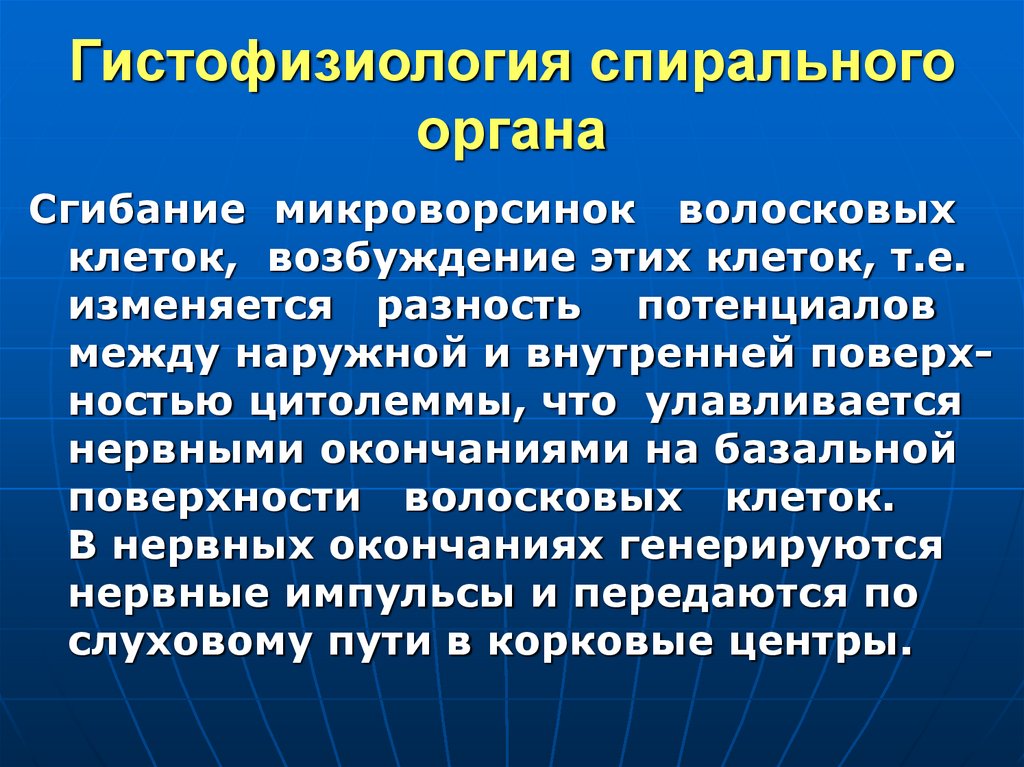 Гистофизиология спирального органа