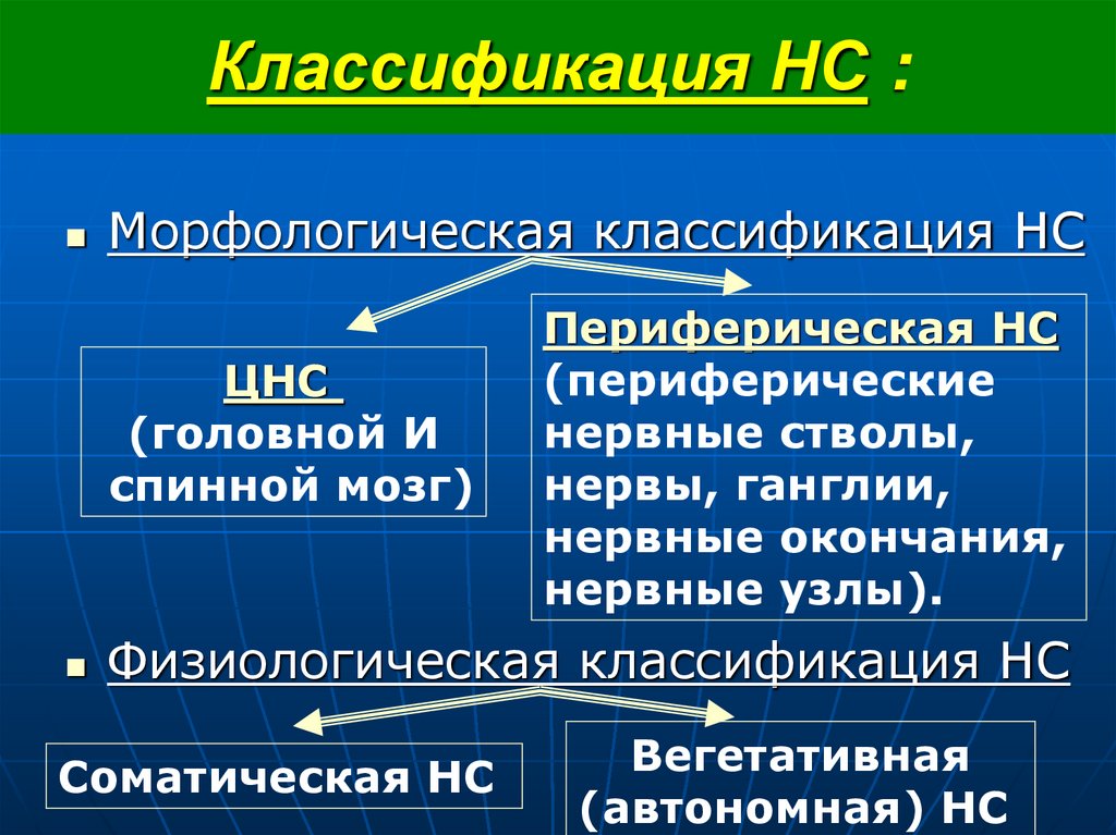 Классификация НС :