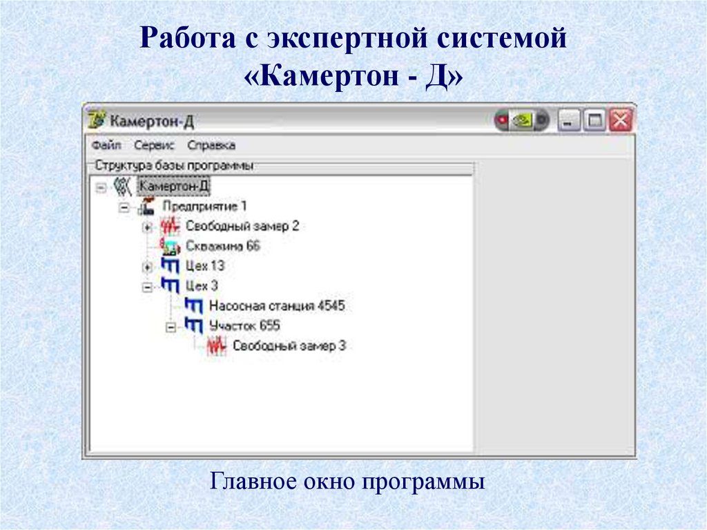Работа с экспертной системой «Камертон - Д»
