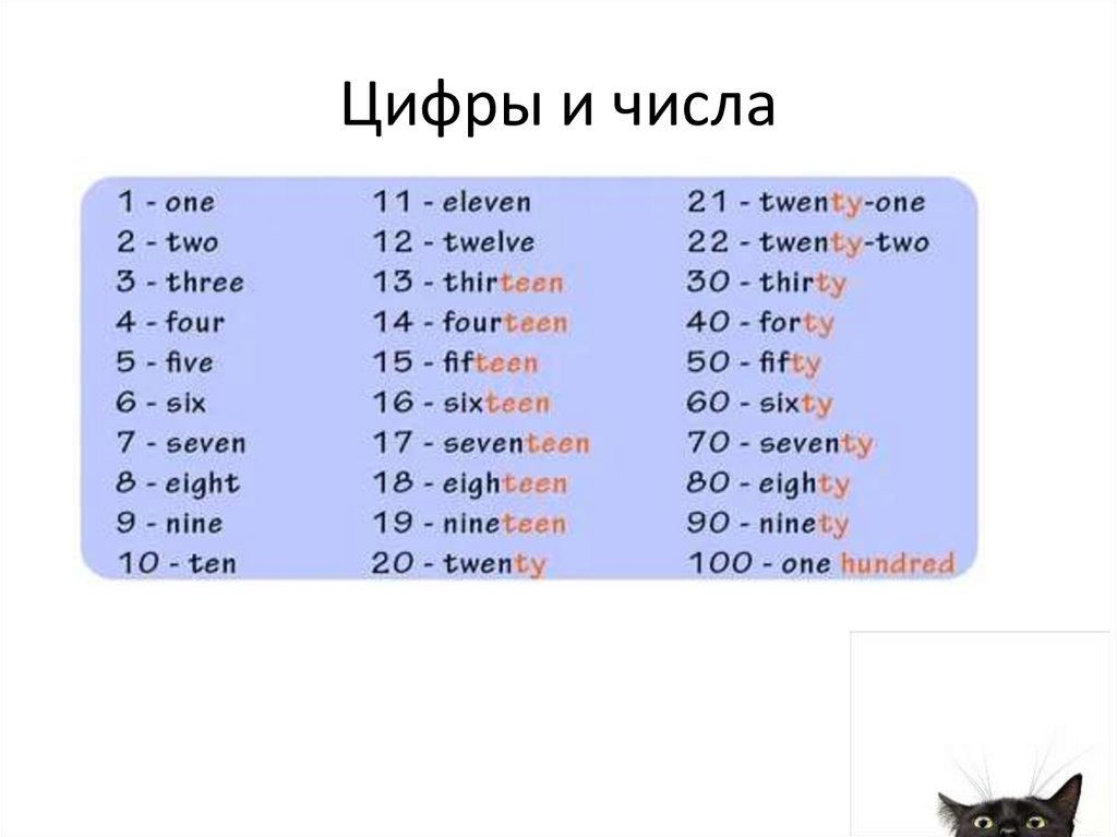 Цифры и числа