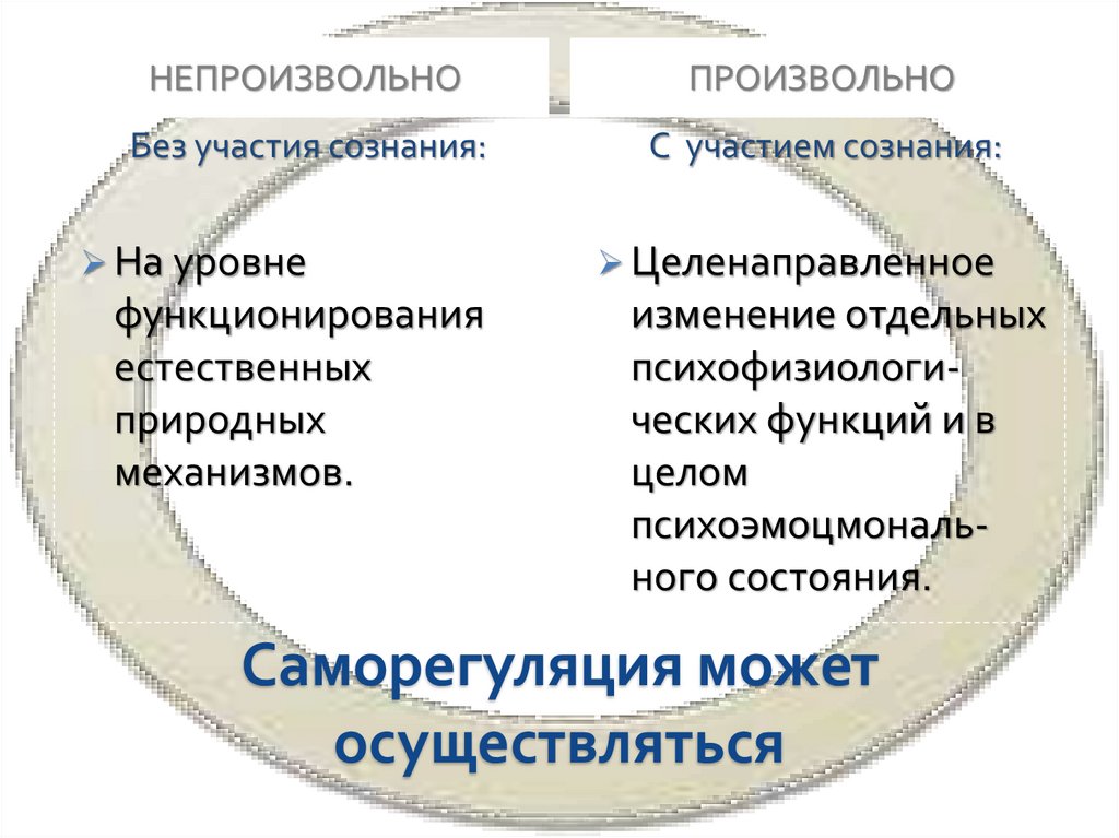 Саморегуляция может осуществляться