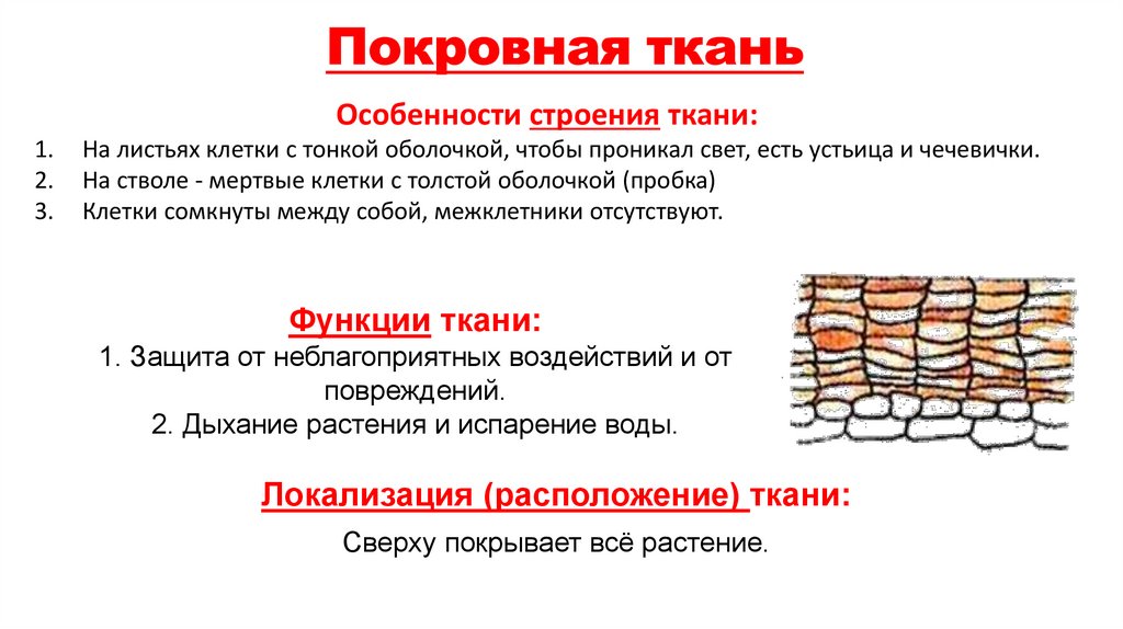 Покровная ткань