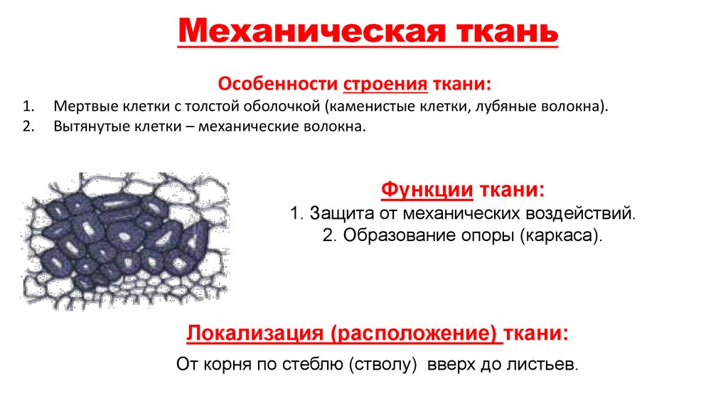 Механическая ткань