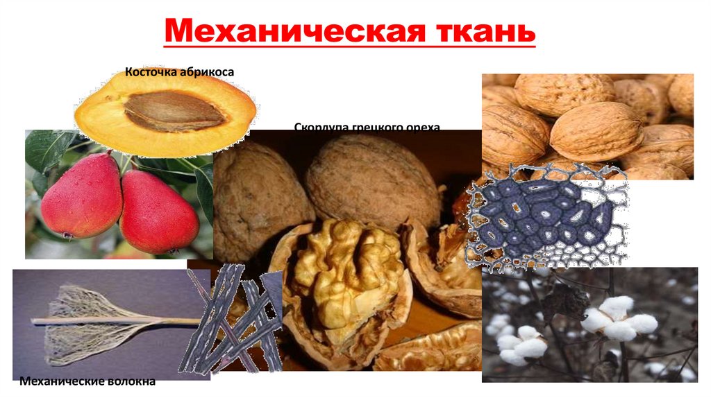 Механическая ткань