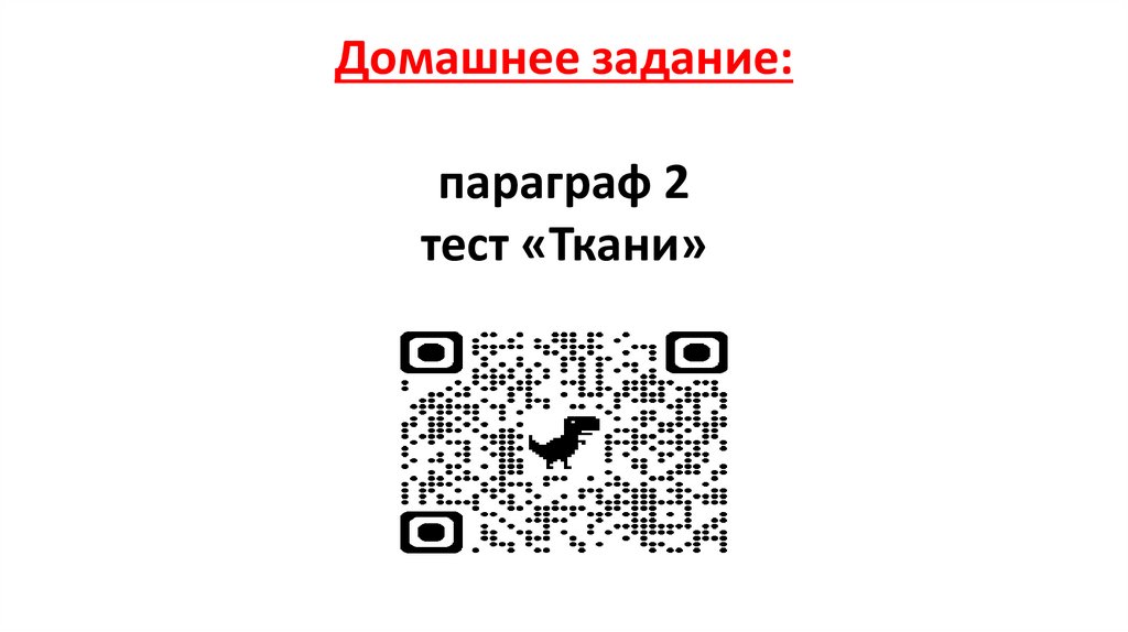 Домашнее задание: параграф 2 тест «Ткани»