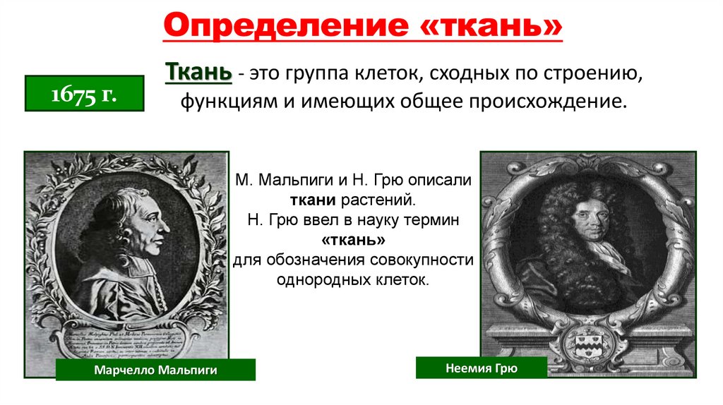 Определение «ткань»