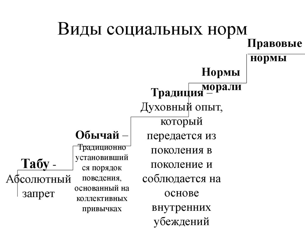 Виды социальных норм