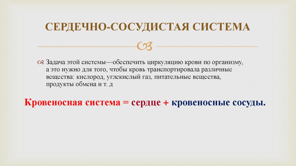 СЕРДЕЧНО-СОСУДИСТАЯ СИСТЕМА